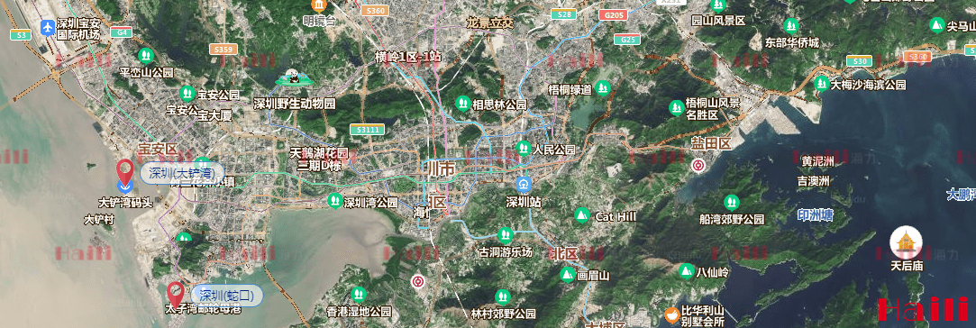 鼎盛国际(中国区) - 官方网站